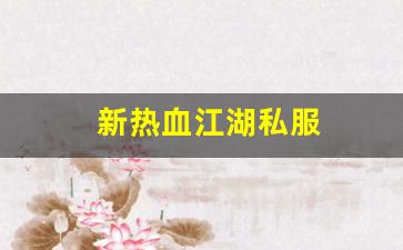 新热血江湖私服(新热血江湖官网) (2)