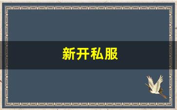 新开私服(sf999传奇新服网) (2)