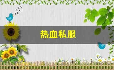 热血私服(新开1.76热血sf) (4)