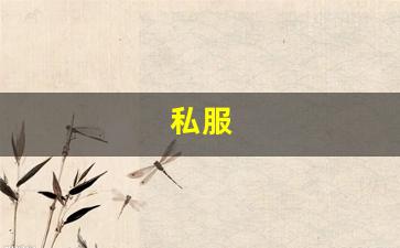 最新热血江湖sf：私服(伺服驱动器故障代码) (2)
