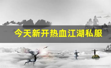 今天新开热血江湖私服 (9)