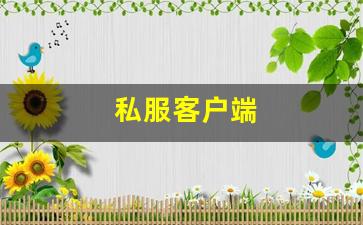 私服客户端 (2)