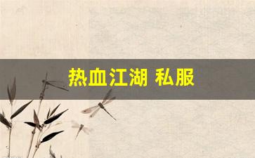 热血江湖 私服(超变态热血江湖上线满级手游) (2)