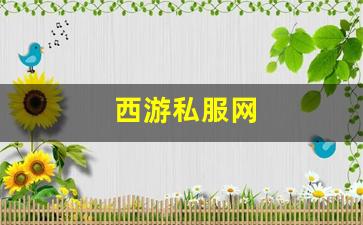 西游私服网(西游游戏平台) (2)
