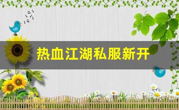 sf热血江湖：热血江湖私服新开 (2)